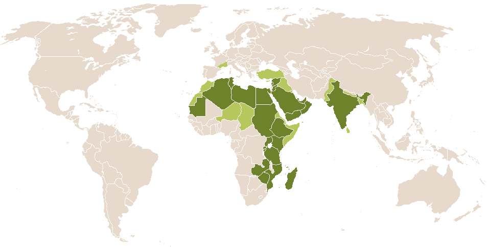 world popularity of Shariqah