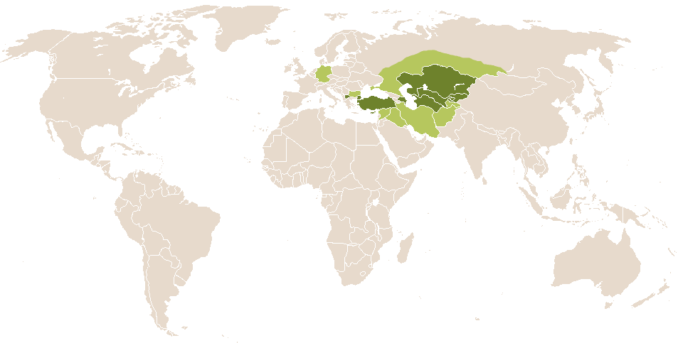 world popularity of Peri