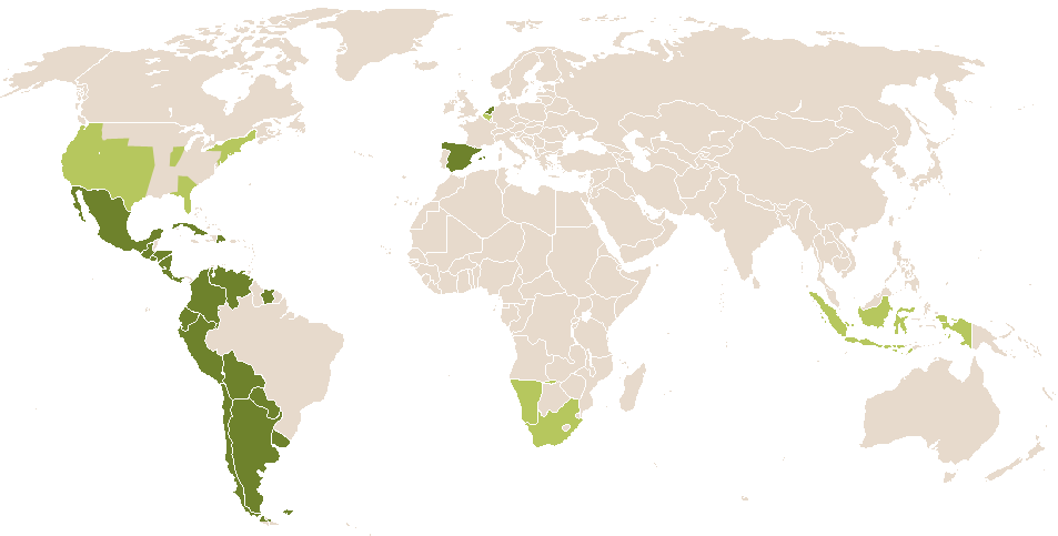 world popularity of Alecto