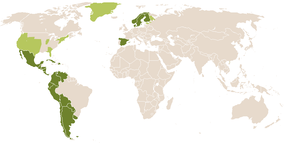 world popularity of Paloma