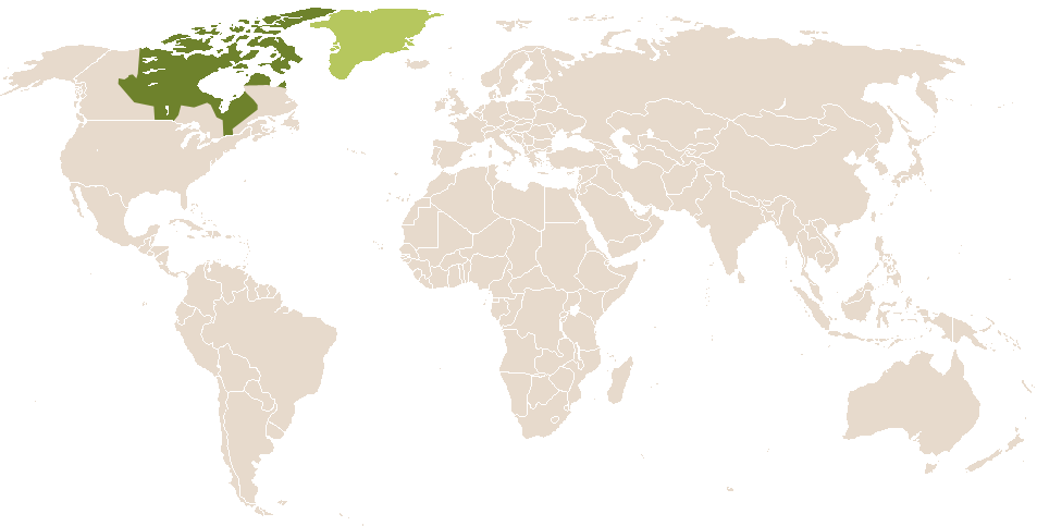 world popularity of Angerdlarnek
