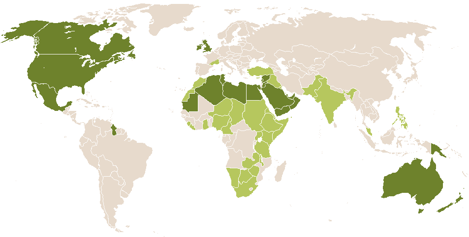 world popularity of Reem