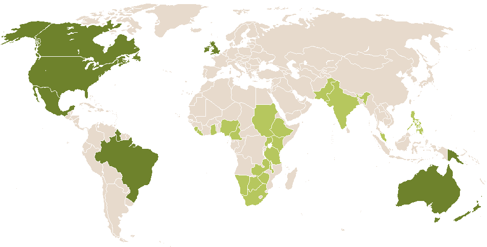 world popularity of Dorinha