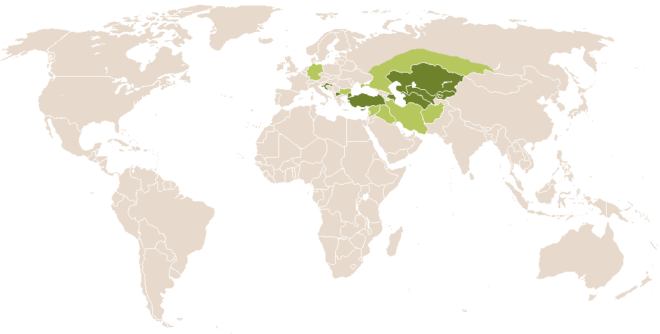 world popularity of Ezav